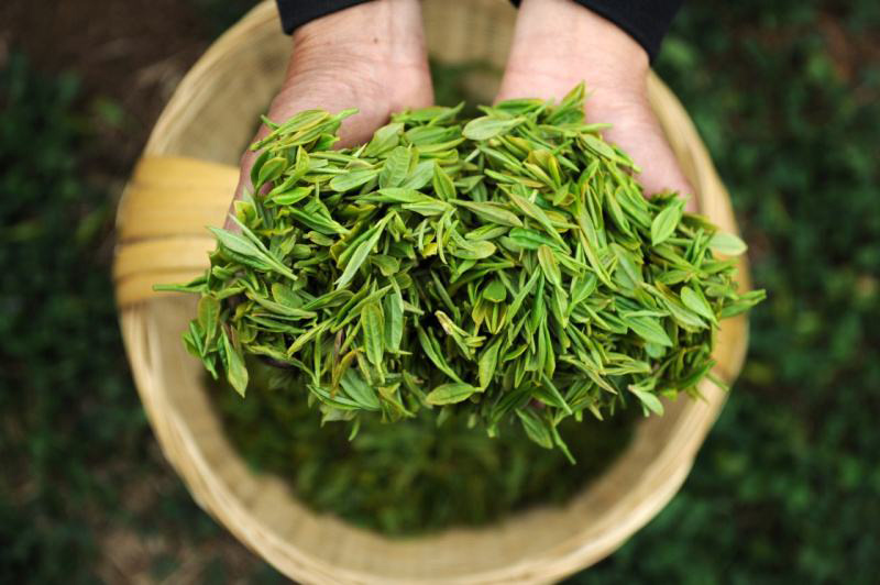 如何包裝春茶？