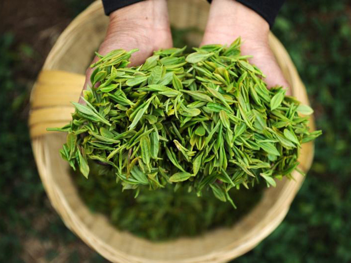 茶葉包裝彩盒定制-銷售提升、品牌推廣關(guān)鍵在于選對包裝
