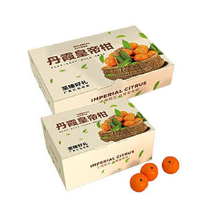 水果包裝盒定制