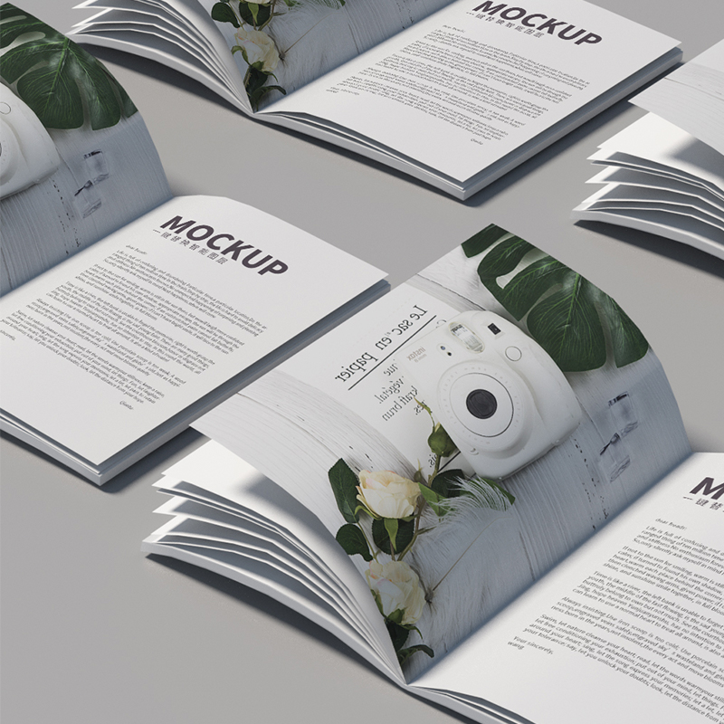 企業(yè)畫冊印刷或產品手冊設計定制
