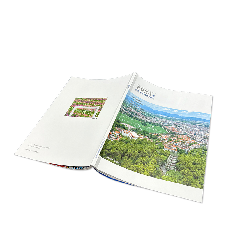 地方時事政務(wù)文化宣傳冊周刊旅游指南手冊