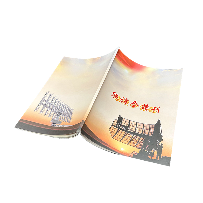 聯(lián)誼協(xié)會商會工會聯(lián)盟組織雜志特刊印刷期刊