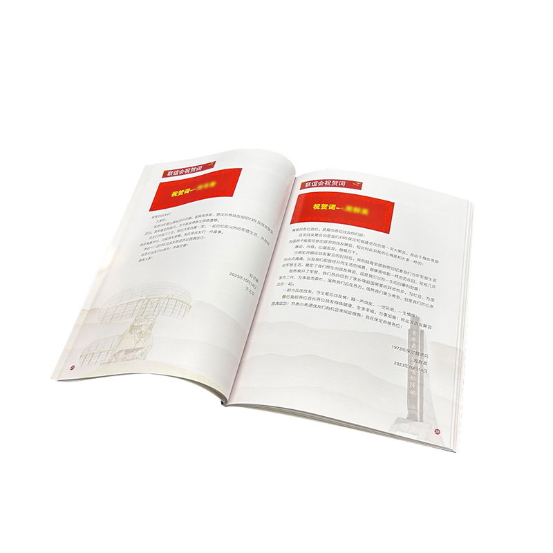 聯(lián)誼協(xié)會商會工會聯(lián)盟組織雜志特刊印刷期刊